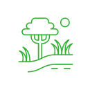 image ป่าเต็งรัง