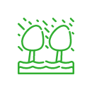 image ป่าดิบชื้น