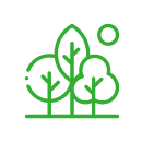 image ป่าเบญจพรรณ