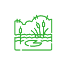 image ป่าพรุ